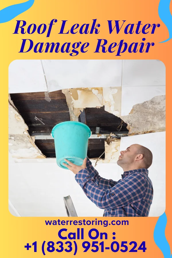 Roof Leak Water Damage Repair in Beverly Hills, MI