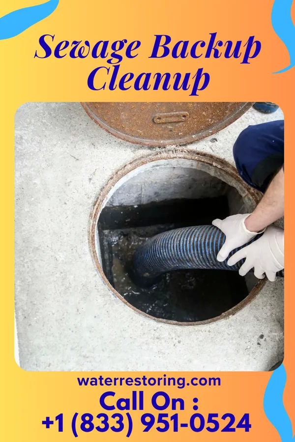 Sewage Backup Cleanup in Beverly Hills, MI