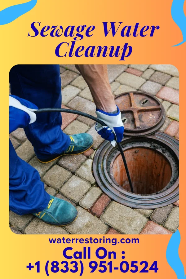 Sewage Water Cleanup in Beverly Hills, MI