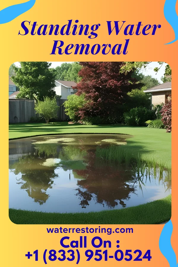 Standing Water Removal in Beverly Hills, MI